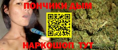 крисы Ирбит