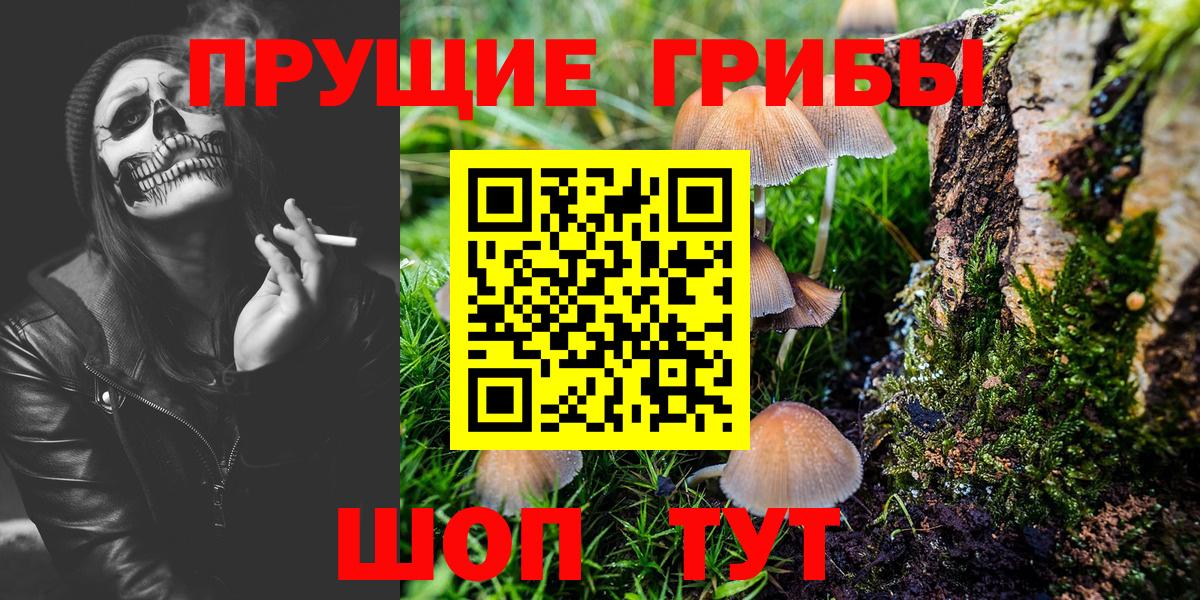 Курчатов  Галлюциногенные грибы прущие грибы  Вход с VPN 